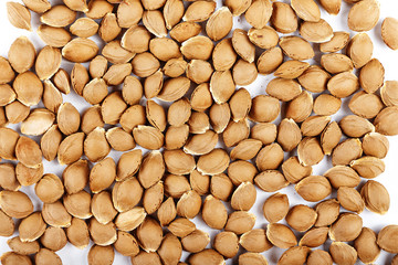 good for health, apricot seed background . use in food and cosmetics. top view