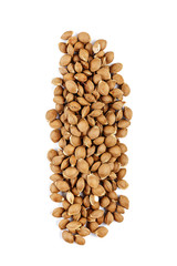 apricot pits isolated