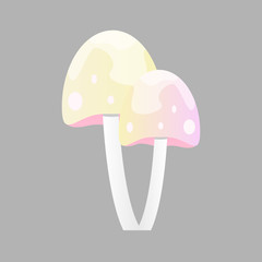 Twine poisonous mushrooms isolated on grey background