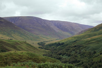 Fototapeta premium scotland