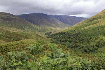 Fototapeta premium scotland