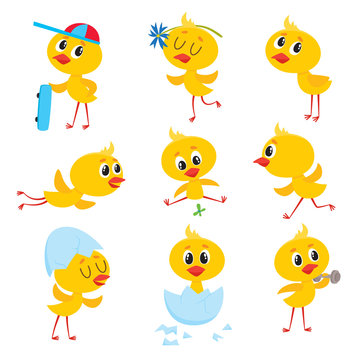 Cartoon set with cute baby chicken character running, flying, training, sitting in egg shell, vector illustration on white background. Cute Easter newborn baby chicken character doing various things