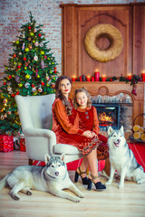 A happy mother and daughter are sitting on a chair, at the feet of the dog Husky, on the background of the New Year tree. Celebrating the New Year, Christmas.