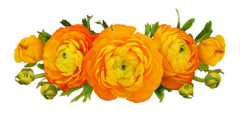 Orange ranunculus flowers and leaves composition