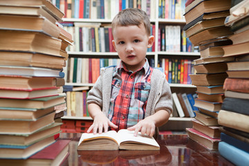 preschooler little boy reading a book in the library
