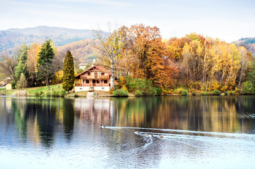 Fototapeta na wymiar Ducks, lake and cottage in the autumn nature.