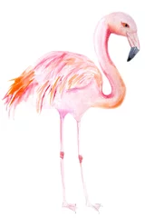 Fotobehang flamingo aquarel © irendik