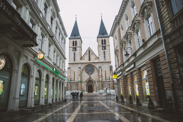 Naklejka premium Bosnia and Herzegovina