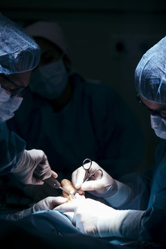 Group of surgeons working with patient