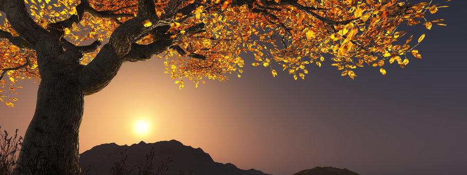 Baum im Herbst in der Abenddämmerung