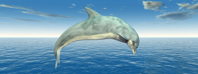 Hüpfender Delfin © Michael Rosskothen