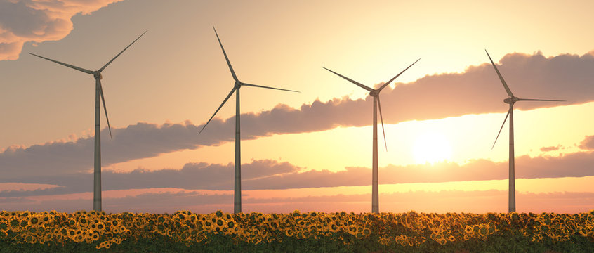 Windkraftanlagen und Sonnenblumen bei Sonnenuntergang