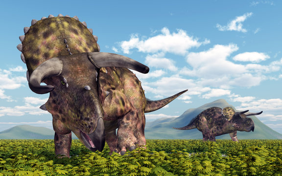 Dinosaurier Nasutoceratops