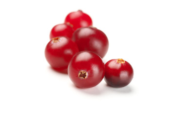 Cranberries close-up on white