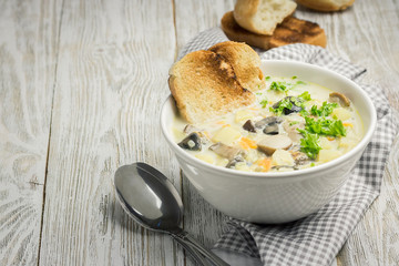 Creamy vegetarian mushroom soup and toasts. Selective focus, copy space. 