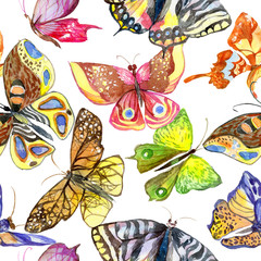 Exotic butterfly wild insect pattern in a watercolor style. Full name of the insect: butterfly. Aquarelle wild insect for background, texture, wrapper pattern or tattoo.