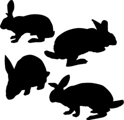 four rabbit black silhouettes on white
