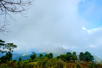 Obraz premium high mountains peaks range clouds in fog scenery landscape national park view outdoor at Doi Ang Khang, Chiang Mai Province, Thailand