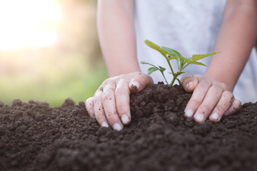 Child hand planting young tree on black soil as save world concept