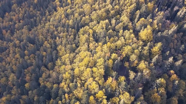 Aerial view other autumn carpathian mountains near by Vorohta