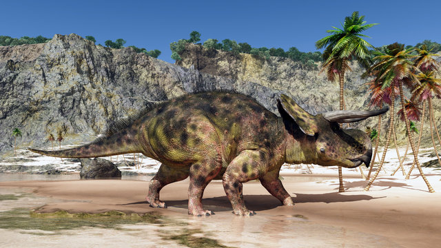 Dinosaur Nasutoceratops at the beach