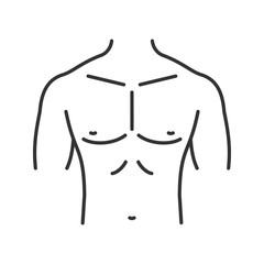 Muscular male chest linear icon