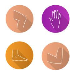 Obraz premium Body parts flat linear long shadow icons set