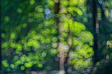 green abstract background with usage of bokeh effect, obtained with Helios lense