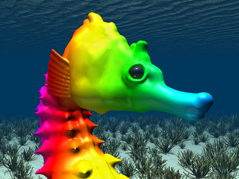 Seepferdchen mit Farben