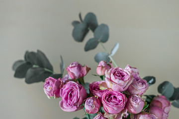 Blush roses with eucalyptus in front of the neutral background