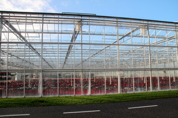 Greenhouse in city Monster