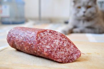Delicious, appetizing red sausage salami on a birch cutting board and gray British cat in the...