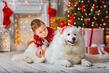 Little boy with dog at Christmas Eve