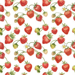 Watercolor seamless pattern with Strawberry leaves with flowers and ripe berries on white. Background design for natural cosmetics