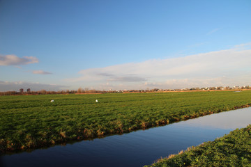 Naklejka premium Fields of Park Hitland in Nieuwerkerk aan den IJssel, Netherlands,