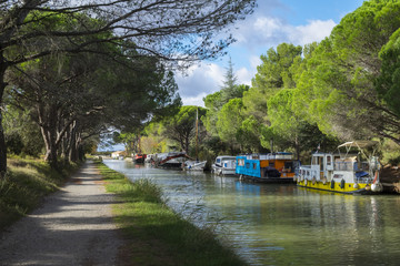 Le Canal de jonction pres du village de  Salleles d`Aude.