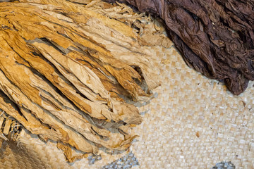 Dried tobacco leaves as background