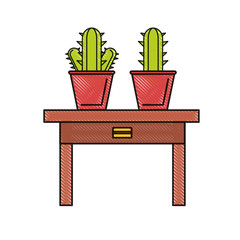 decorative cactus in a pot 