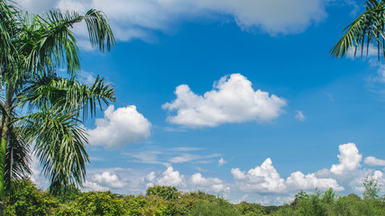 formation of White cloud and blue sky with green vegetation