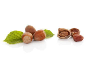 Ripe healthy hazelnuts.