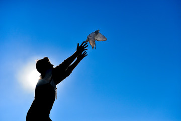 leave the dove to freedom