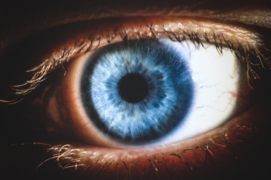 An enlarged image of eye with a blue iris, eyelashes and sclera. the shot is made by a slit lamp with a built-in camera