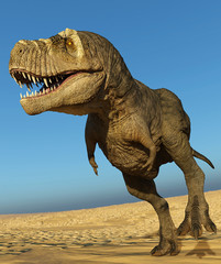 Fototapeta premium tyrannosaurus rex