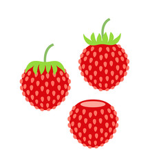 Wild strawberry. Isolated strawberry on white background