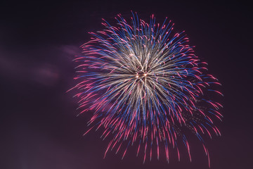 Fototapeta premium New Year’s Eve fireworks in the sky