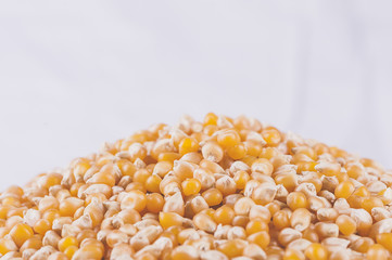 Grains de mais