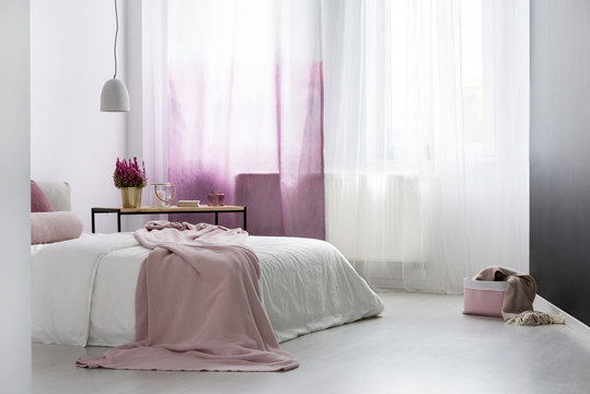 Pink blanket in bright bedroom