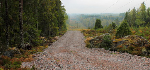 Stone Macadam Road in the Forest