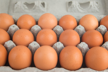 eggs in egg box on white background