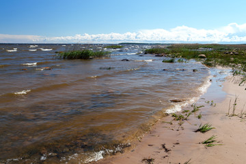 Southern sandy shores of Lake Ladoga